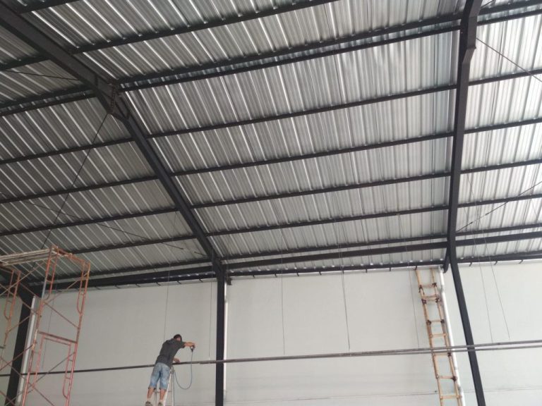 WhatsApp Image 2026-01-11 at 13.00